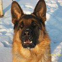  ,  -  13  2012      Ȼ