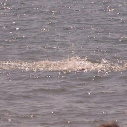 ���� Veaceslav, �����������, 46 ��� - ��������� 29 ������� 2012