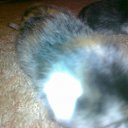 ���� ���������, ����, 53 ���� - ��������� 29 ���� 2012 � ������ ������