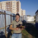 ���� ������, ������, 37 ��� - ��������� 28 �������� 2012