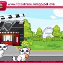  , -, 22  -  25  2010   PetLove