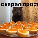 ���� �������, �����, 45 ��� - ��������� 31 ������ 2013 � ������ ���� ����������