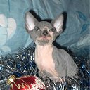 ���� ������, �����-���������, 47 ��� - ��������� 16 ������ 2011 � ������ ������� 2011�