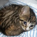 ���� �������, �������� - ��������� 19 ������� 2012 � ������ �������