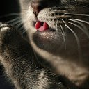 ���� �����, �����������, 30 ��� - ��������� 23 ������� 2012 � ������ ���� ����������