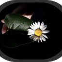 ���� ����, �������, 29 ��� - ��������� 29 ���� 2012 � ������ �������