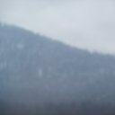 ���� ��������, ������, 43 ���� - ��������� 13 ������ 2013 � ������ ����������