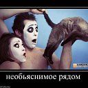 ���� Katoteshi, �������, 45 ��� - ��������� 11 ������� 2011 � ������ ������