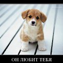 ���� ��������, ������ - ��������� 25 ����� 2012 � ������ ���������