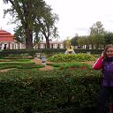  She's Like The Wind,  -  10  2010   Ի