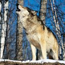 ���� �����, ������ - ��������� 14 ���� 2012 � ������ �������