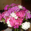 ���� Aleksandr, ������, 65 ��� - ��������� 12 ���� 2012 � ������ ����� 2012 ���