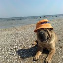 ������� �� ������� ����� ��� ������������