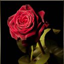 ���� Weron, �����, 52 ���� - ��������� 24 ��� 2013 � ������ ���� ����������