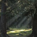 ���� �����, ������������, 32 ���� - ��������� 29 ������� 2011 � ������ �������