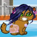 ���� ~����~, ������������, 24 ���� - ��������� 30 �������� 2011 � ������ ���� ������� � ������ ��������