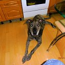 ���� ������, ������, 58 ��� - ��������� 3 ������� 2012 � ������ �12�