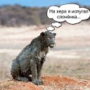 ���� ��������, ������������, 49 ��� - ��������� 28 ������� 2011 � ������ ���������