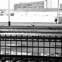 ���� ����, ������� - ��������� 23 ������� 2009 � ������ ����������