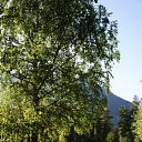 ���� �����, ������������, 37 ��� - ��������� 19 �������� 2009 � ������ ���� ��� ������,������� � �������� �� ���������� ��������� �������.�