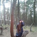 ���� ������� . �� ������� ., �����������, 64 ���� - ��������� 16 ������ 2012 � ������ �������.�