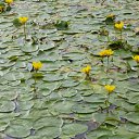 ��� ��� �� ��������, ��� �����? ���������� ����! �� ������� ���, ��� � � ������