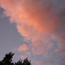 ���� �������, �����-��������� - ��������� 24 ������ 2010 � ������ ��������