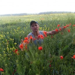 Dasany, �������, 58 ���