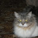 ���� ������, ��������, 62 ���� - ��������� 23 ������ 2010 � ������ �������� ���