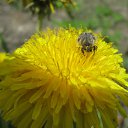 ���� ����, �������, 55 ��� - ��������� 16 ��� 2011 � ������ �� +�