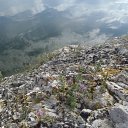 ���� �����, ������������ - ��������� 16 ���� 2012 � ������ ������������ �������������