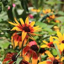 ���� ����, ������, 38 ��� - ��������� 28 ���� 2010 � ������ �������