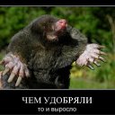 ���� ��, ������������, 39 ��� - ��������� 30 ������� 2010 � ������ �����-���� � �����