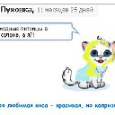 ������� �� ������� �������� ��������