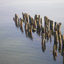 ���� �����, �����������, 48 ��� - ��������� 14 ��� 2013 � ������ ���� ����������