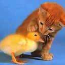 ���� ������, ��������� - ��������� 7 ��� 2011 � ������ ���� ����������