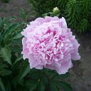 ���� 2011 �� ������� ���� ����������