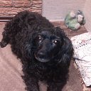 ���� ����, �����, 56 ��� - ��������� 4 ����� 2013 � ������ ���� ����������