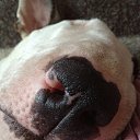  Roxanne, - -  29  2013    