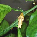 ���� ����, �����-���������, 57 ��� - ��������� 6 ������ 2011 � ������ ���� �������