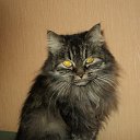 ���� ������, ������, 47 ��� - ��������� 7 ������ 2012 � ������ ���� ����������