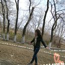 ���� ����������, �����������, 29 ��� - ��������� 8 ������ 2012 � ������ ���� ����������