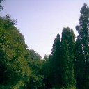 ���� ����, ���� - ��������� 9 ��� 2012 � ������ ������������� ��Ļ