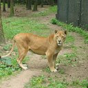 ���� ���������, ����, 53 ���� - ��������� 7 ������� 2011 � ������ �����������