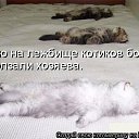 ���� ��������, �������� - ��������� 11 ����� 2012 � ������ �������� ��������