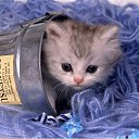 ���� ������, �������������-���������� - ��������� 4 �������� 2012 � ������ �������