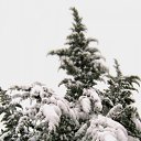 ���� ������, ����������� - ��������� 20 ������ 2010 � ������ ����