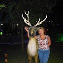 ���� ������, ������ - ��������� 30 ������� 2012 � ������ ���� ����������