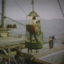 ���� ����, �����������, 42 ���� - ��������� 6 ������� 2012 � ������ ���� ����������