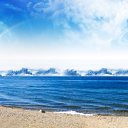 ���� Vlad, ������, 29 ��� - ��������� 1 ������� 2011 � ������ �PetLove�